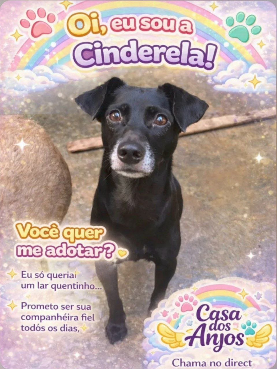 adote a cinderela casa dos anjos macae